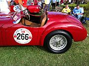 2011 Winter Park Concours 088